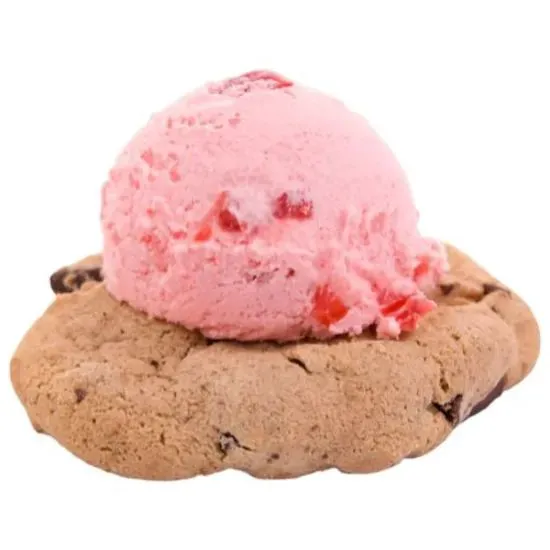 il laboratorio del gelato Picture 4