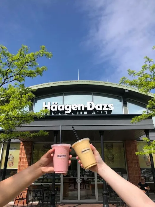 Haagen-Dazs Ice Cream Shop Picture 8