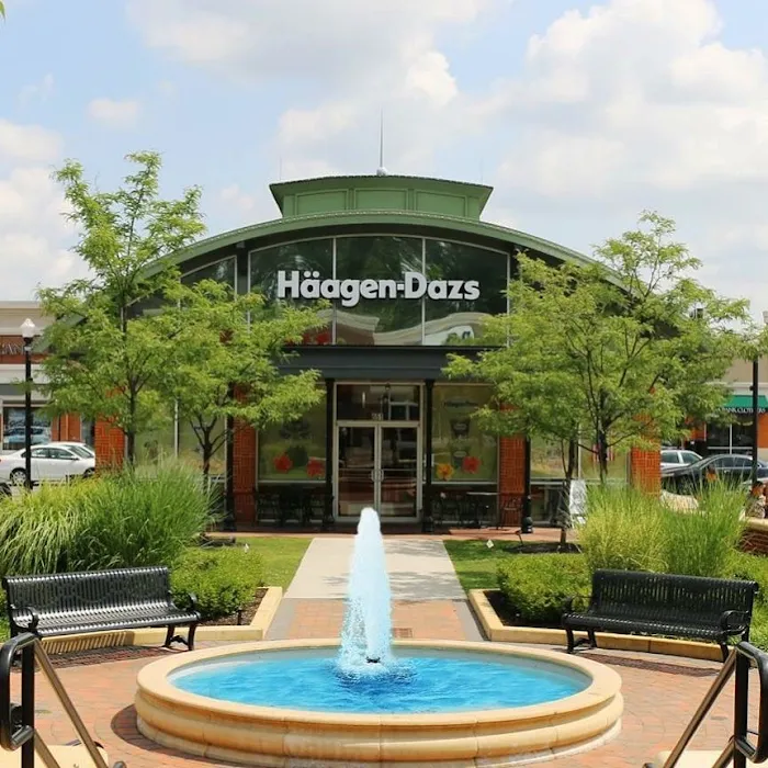 Haagen-Dazs Ice Cream Shop Picture 7