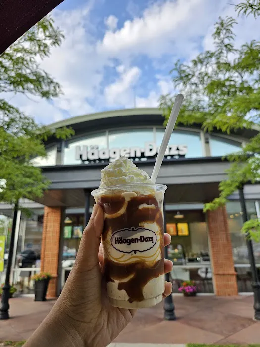 Haagen-Dazs Ice Cream Shop Picture 6