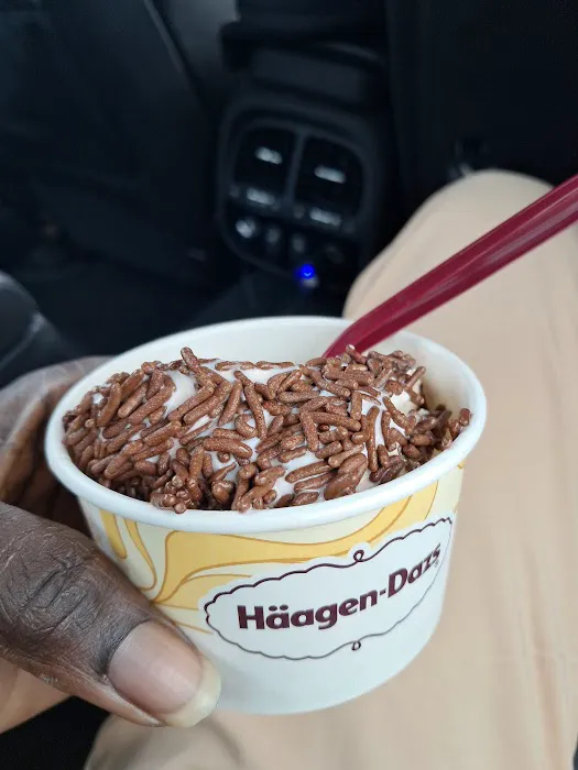 Haagen-Dazs Ice Cream Shop Picture 4