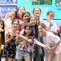 Lickety split soft ice cream truck ico