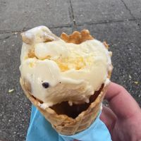 FROZE ico