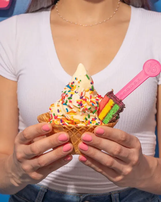 16 Handles Picture 5
