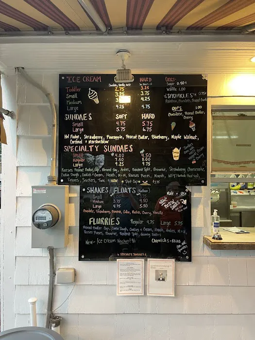 Village Scoop Ice Cream Shop Picture 4