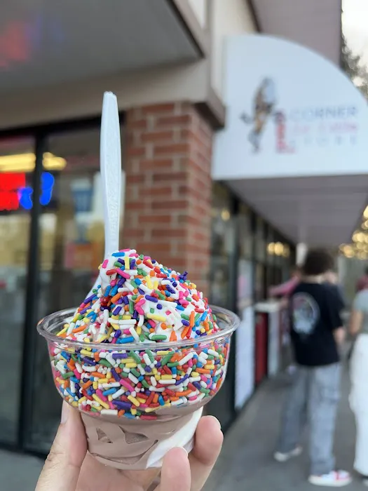 Corner Ice Cream Store Picture 8
