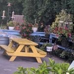Dairy Haus