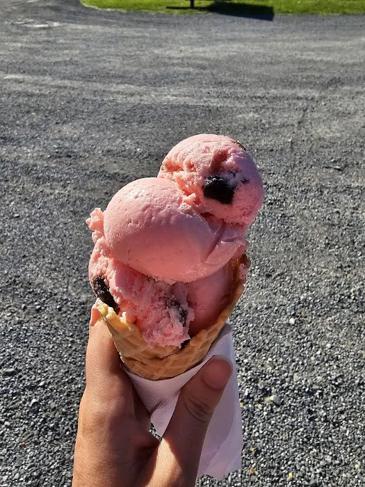 Tastee Treat Picture 4