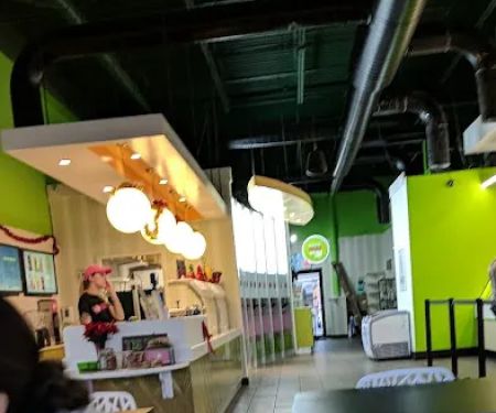 16 Handles