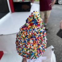 Terry's Custard ico