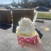 Verona Custard ico