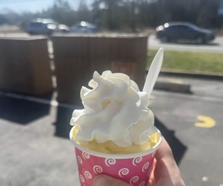 Verona Custard