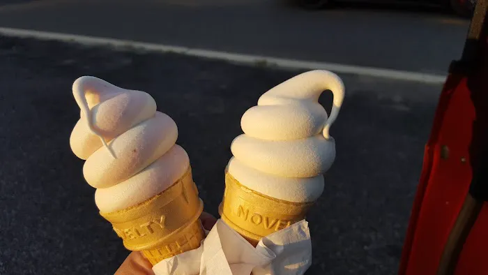 Flipper's Custard Picture 1