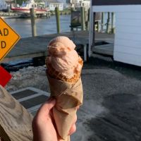Barnacles Ice Cream ico