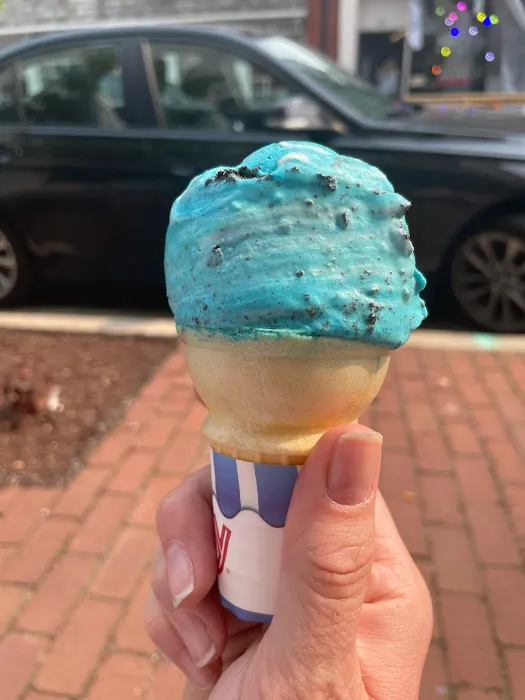 Storm and Daughters Ice Cream Picture 5