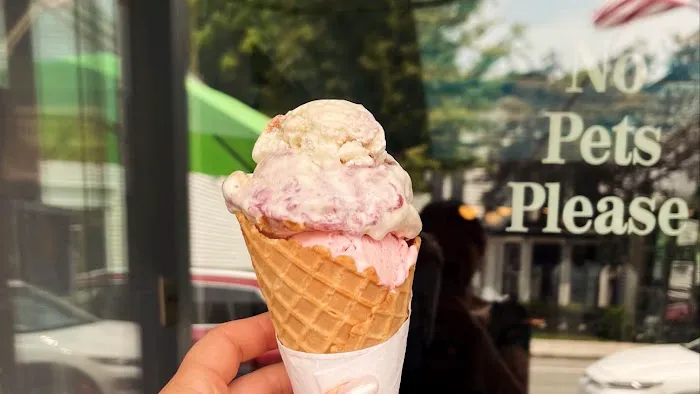 Fiesta Ice Cream Picture 1