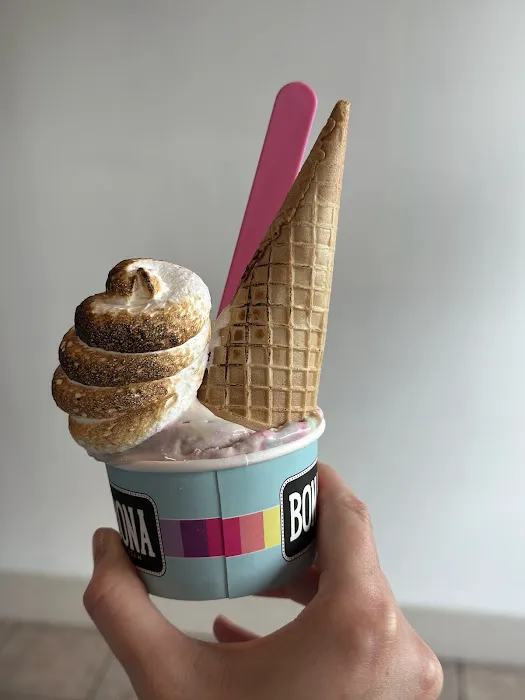 Bona Bona Ice Cream Picture 6