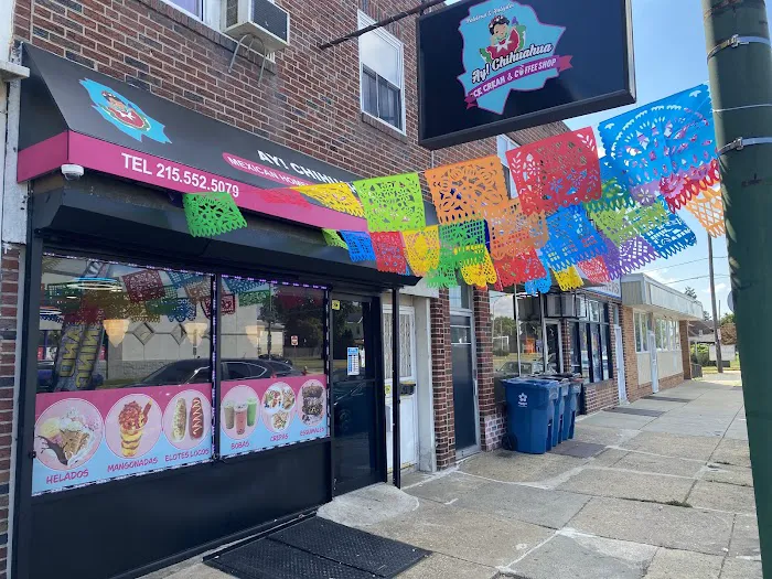 Ay! Chihuahua ice-cream shop Picture 8