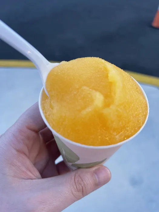 Volpe Water Ice and Ice Cream Picture 2