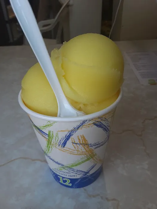 Bee Ice Cream & Food Picture 8