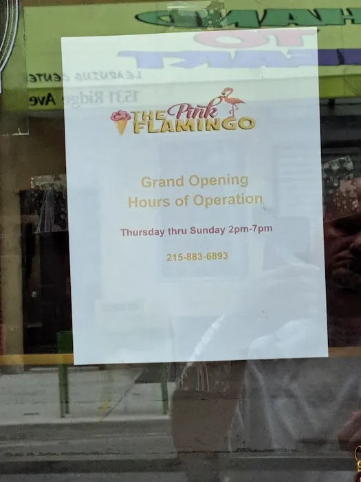 Pink Flamingo Ice Cream Bar Picture 1