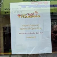 Pink Flamingo Ice Cream Bar ico
