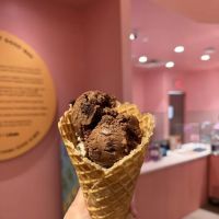 Van Leeuwen Ice Cream ico