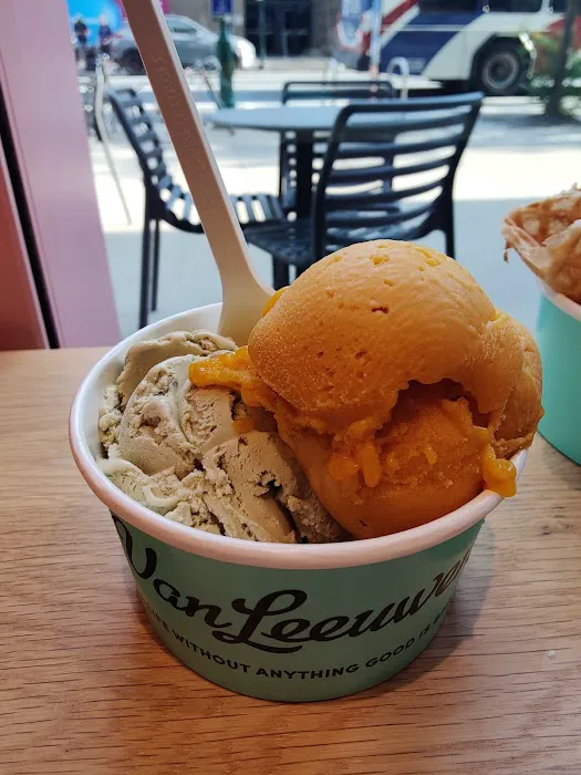 Van Leeuwen Ice Cream Picture 6