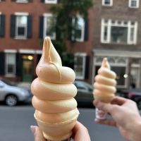 1-900-ICE-CREAM ico