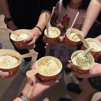 Malai ico