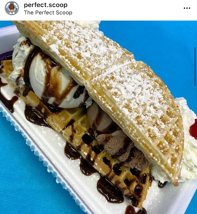 Scola’s Perfect Scoop Picture 10