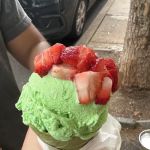 Sunny Scoop