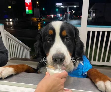 Ice Cream Love