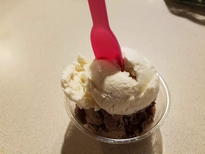 Alaura Homemade Ice Cream Picture 6