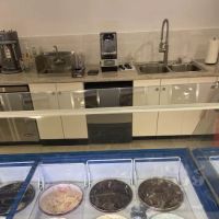 Hershey Shake Shop Creamery ico