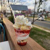 The Whole Scoop ico
