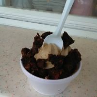 Here's The Scoop ico