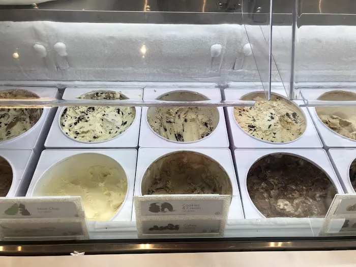 Häagen-Dazs Ice Cream Shops Picture 9