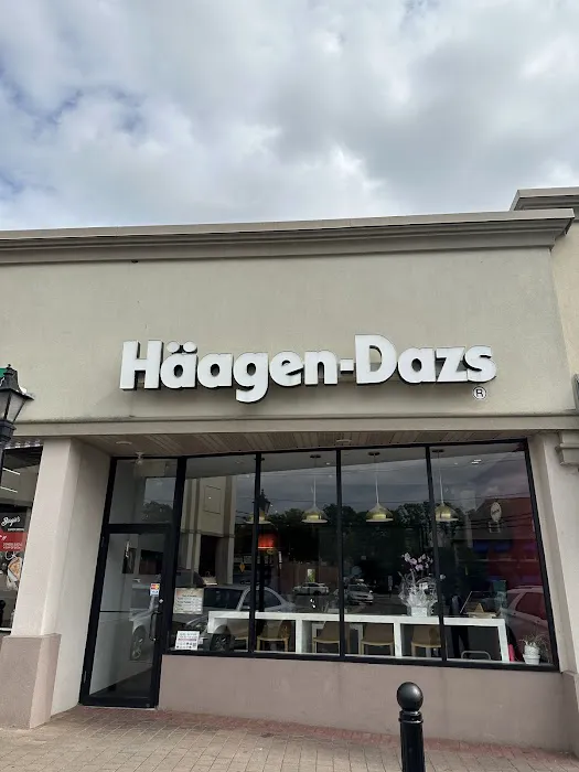 Häagen-Dazs Ice Cream Shops Picture 4