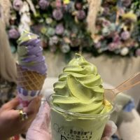 Robin’s Creamery ico