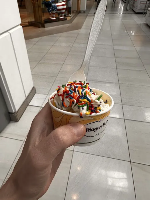 Häagen-Dazs Picture 5