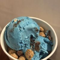Park Ice Cream Company ico