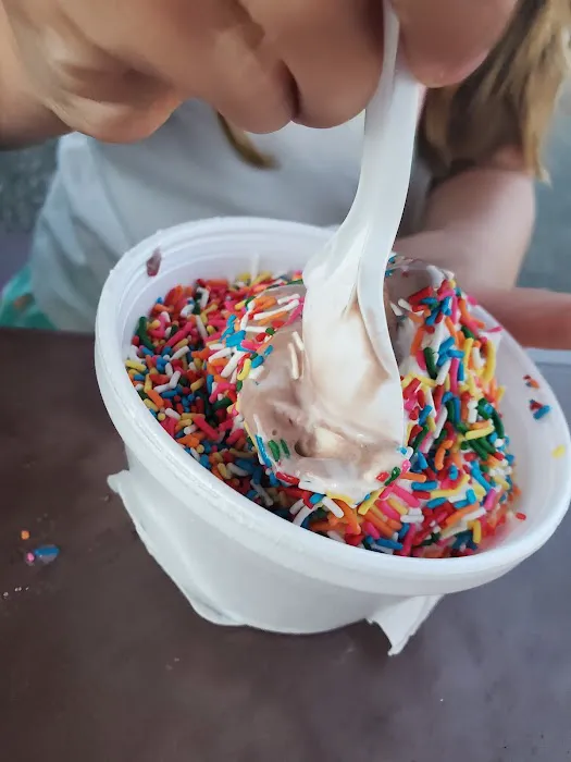 Four Boys Ice Cream Picture 1