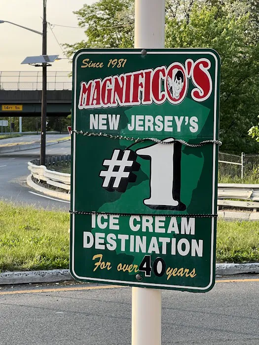 Magnifico's Ice Cream Picture 10