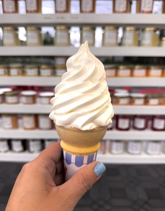 Magnifico's Ice Cream Picture 9