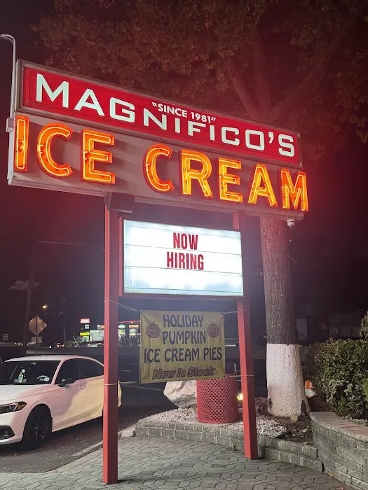 Magnifico's Ice Cream Picture 5