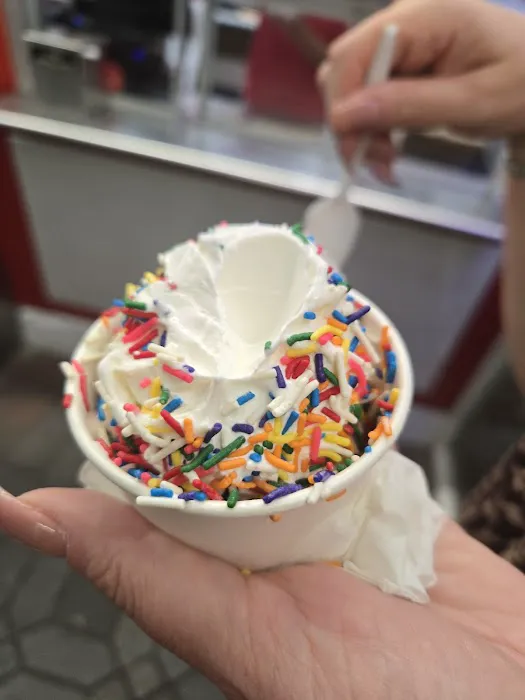 Magnifico's Ice Cream Picture 4
