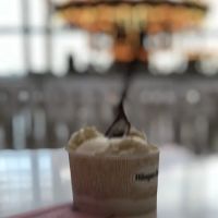 Häagen-Dazs ico