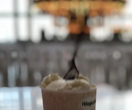 Hu00e4agen-Dazs