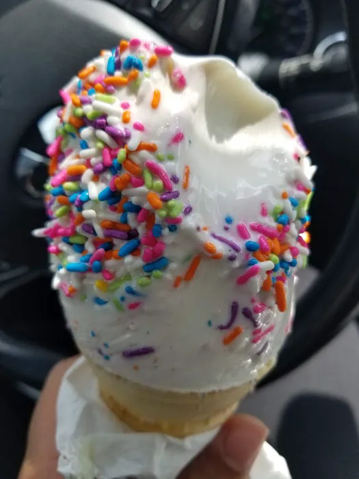The Cone Zone Picture 8